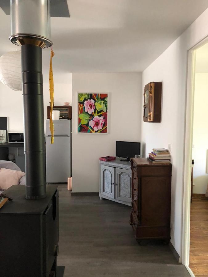 Apartmán Le Monrepos Avec Jacuzzi Nordique Bielle Exteriér fotografie